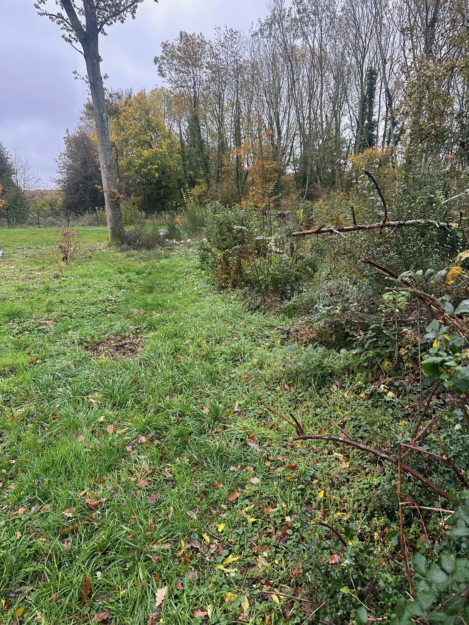 before-image